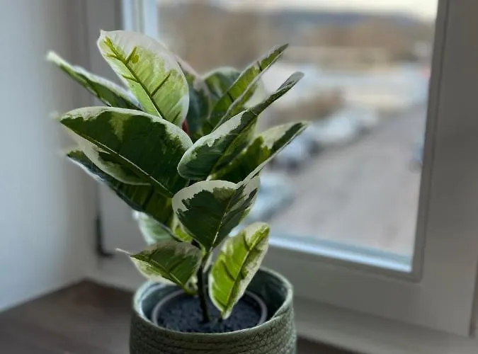 Apartment Zum Zollkran Trier